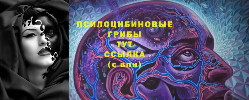 купить наркотики сайты  Нижняя Салда  Псилоцибиновые грибы Cubensis 