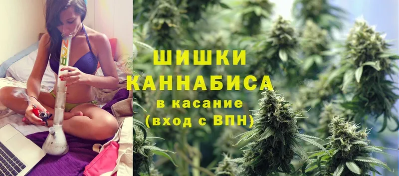 Каннабис White Widow  Нижняя Салда 